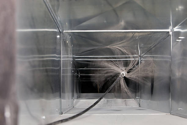 Best Air Duct Mold Removal  in Cudahy, WI